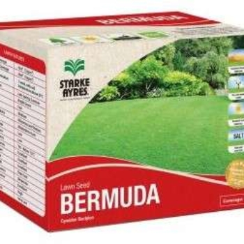 BARMUDA GRASS 500g