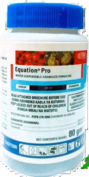 EQUATION PRO - 80G