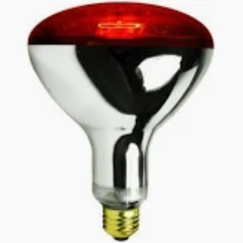 INFRARED HEAT BULB 250W