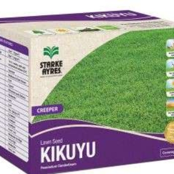 KIKUYU GRASS 500g