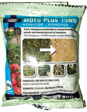 MOTO PLUS 75WG - 100G