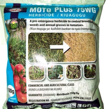 MOTO PLUS 75WG – 50G