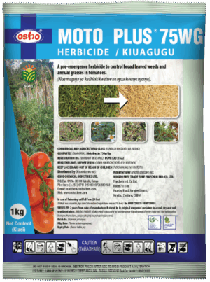 MOTO PLUS 75WG - 1KG