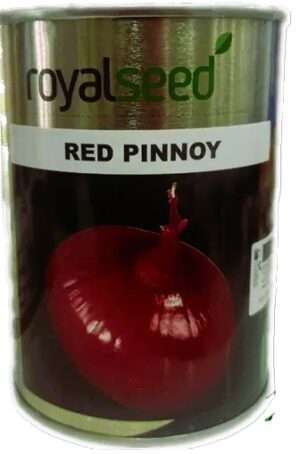 Red Pinnoy Onion 100g
