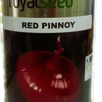 Red Pinnoy Onion 1Kg