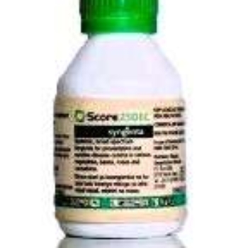 SCORE 250 EC – 100ML