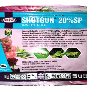 SHOTGUN 20% SP  10g