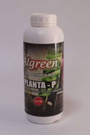 Algreen Planta-P 1L