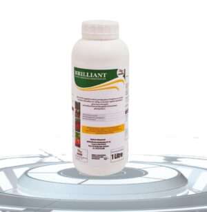 BRILLIANT 1L