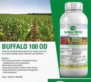 BUFFALO 100 OD 100ml