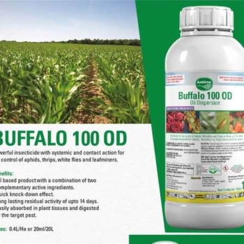 BUFFALO 100 OD 100ml