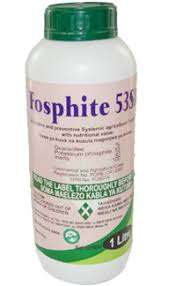 FOSPHITE 53 SL 1L