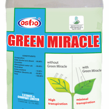 GREEN MIRACLE 100ML