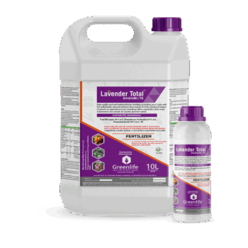 Lavender Total® 20L