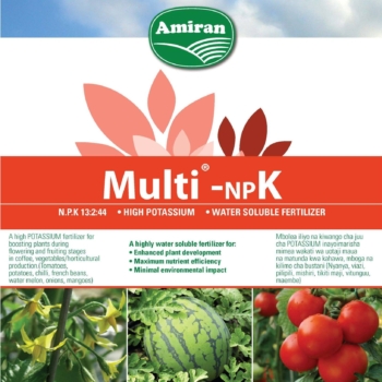 MULTI NPK 13:2:44 25Kg