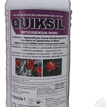 QUIKSIL 1L