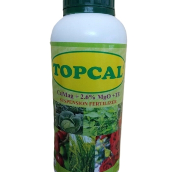 TOPCAL  1L