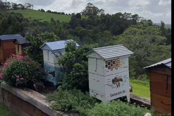 WhatsApp Image 2025-04-25 at 04.27.51