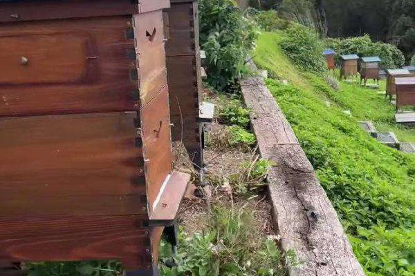 WhatsApp Image 2025-04-25 at 04.29.00