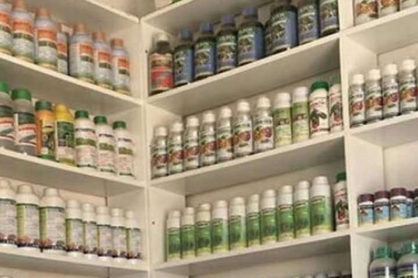 WhatsApp Image 2025-04-25 at 04.31.09